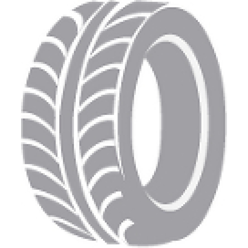 Mazzini SNOWLEOPARD 2 205/55R17 95H