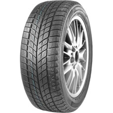 Double Star 245/40R18 DOUBLE STAR DW09 93H