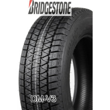 Bridgestone DM-V3 225/60R18 100S  / Ziema